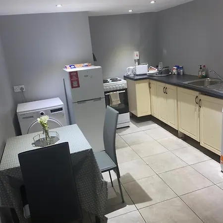 Viking Triangle Apartment Waterford