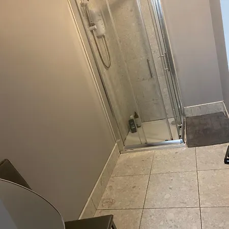 Viking Triangle Apartment Waterford