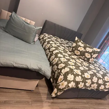 Viking Triangle Apartment Waterford